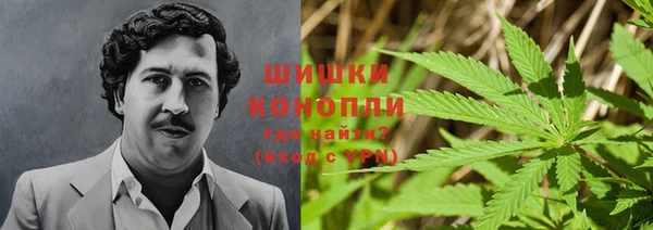 скорость Бородино