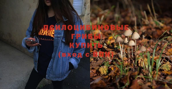 скорость Бородино