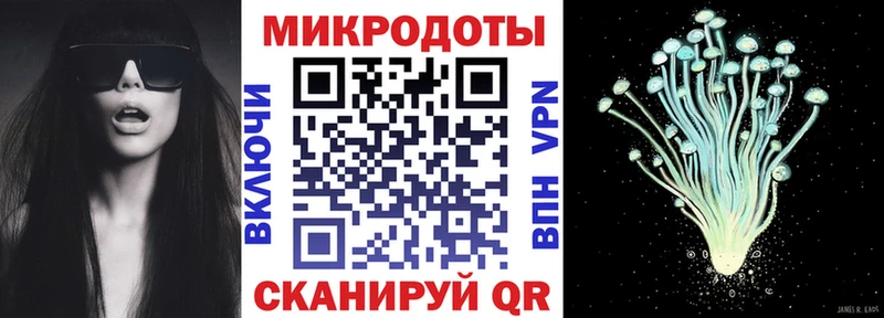 Псилоцибиновые грибы Psilocybine cubensis  Лобня 